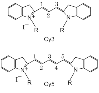 5'-Cy3-Oligo d(T)20