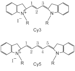 5'-Cy5-Oligo d(T)12-18; 25 ug.