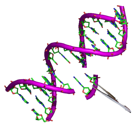 ELISA Test for Human Cross Linked C-Telopeptide Of Type II Collagen (CTXII) [Competitive Inhibition] - 5x 96 wells plate