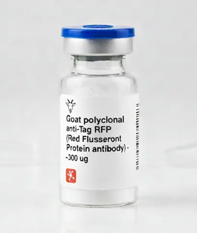Goat polyclonal anti-Tag RFP (Red Fluorescent Protein antibody) - 300 ug.